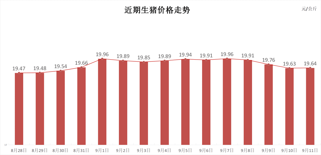 每日猪讯9.11  第3张