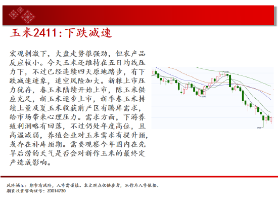 中天期货:白银突破7600关口 生猪区间仍在探底