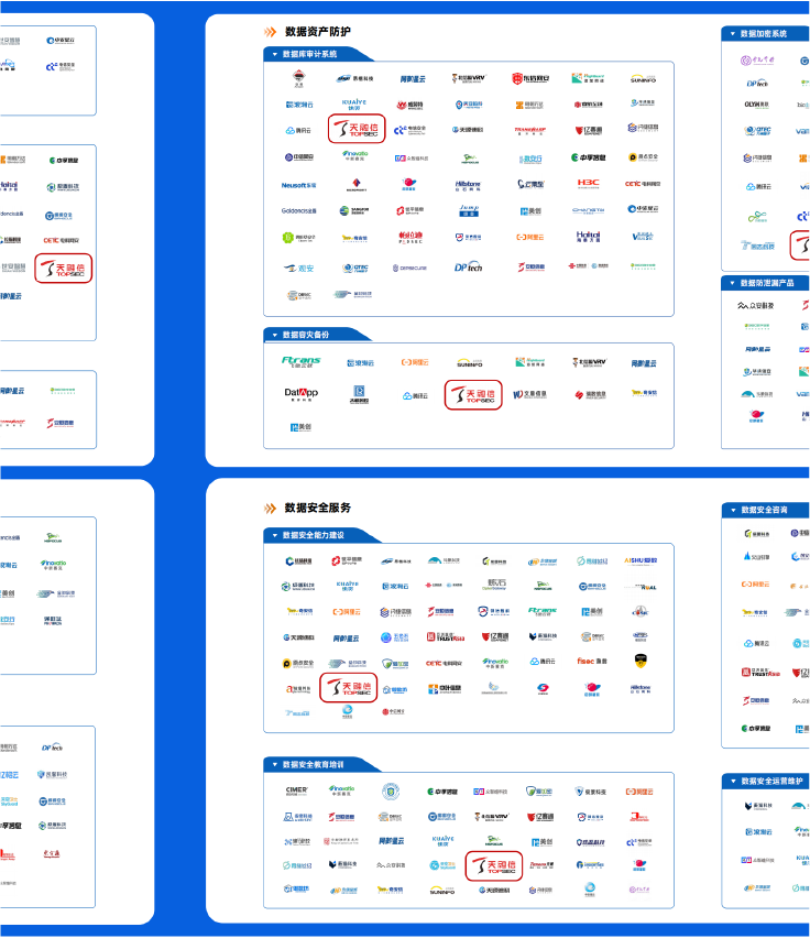 天融信独家全领域入选《2024年中国数据安全企业全景图》