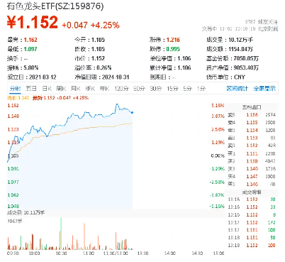 燃炸！北方稀土等8股涨停！有色龙头ETF（159876）盘中猛拉5%，机构：成长为王，材料再启航  第1张