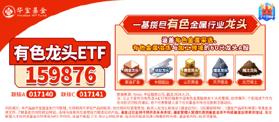 燃炸！北方稀土等8股涨停！有色龙头ETF（159876）盘中猛拉5%，机构：成长为王，材料再启航  第3张