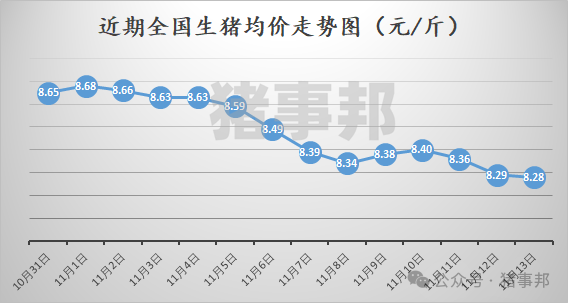 11月13日猪价汇总（北方稍强，南方稍弱！）  第3张