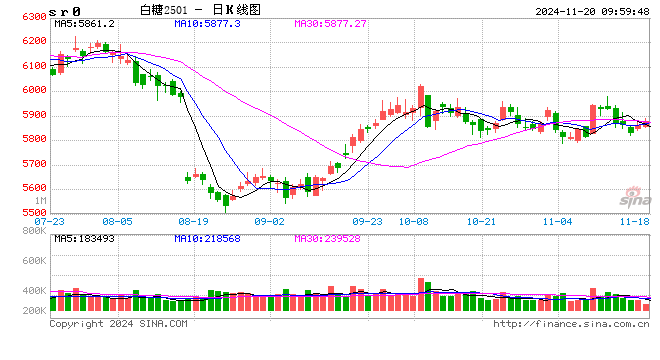 光大期货：11月20日软商品日报