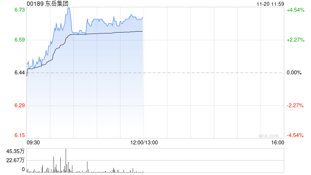 东岳集团早盘涨逾4% 易方达持仓比例上升至6.13%  第1张
