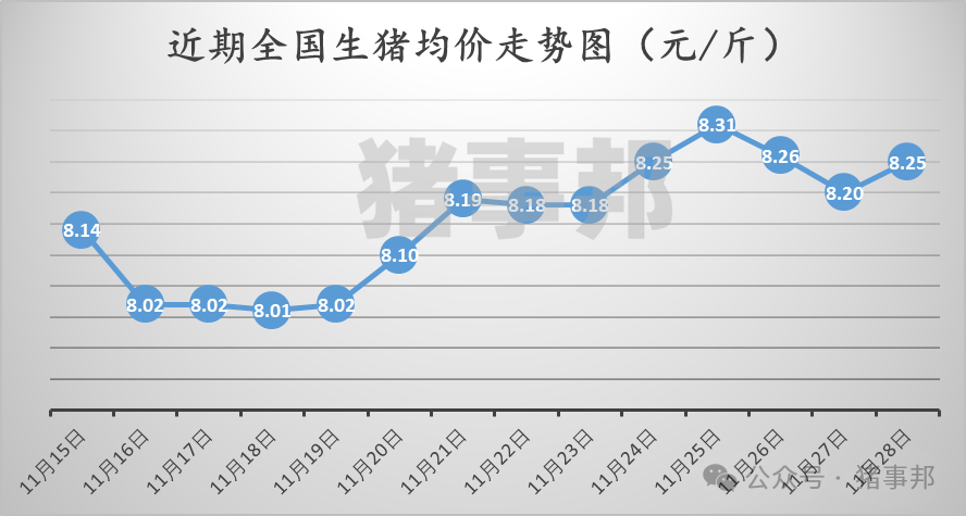 11月28日猪价汇总（反弹不及预期，市场博弈调整！）  第3张